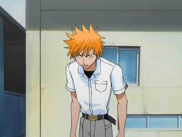 Otaku Gallery  / Anime e Manga / Bleach / Screen Shots / Episodi / 006 - Scontro mortale Ichigo vs Ichigo / 054.jpg